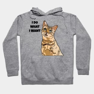 Cat I Do What I Want Hoodie